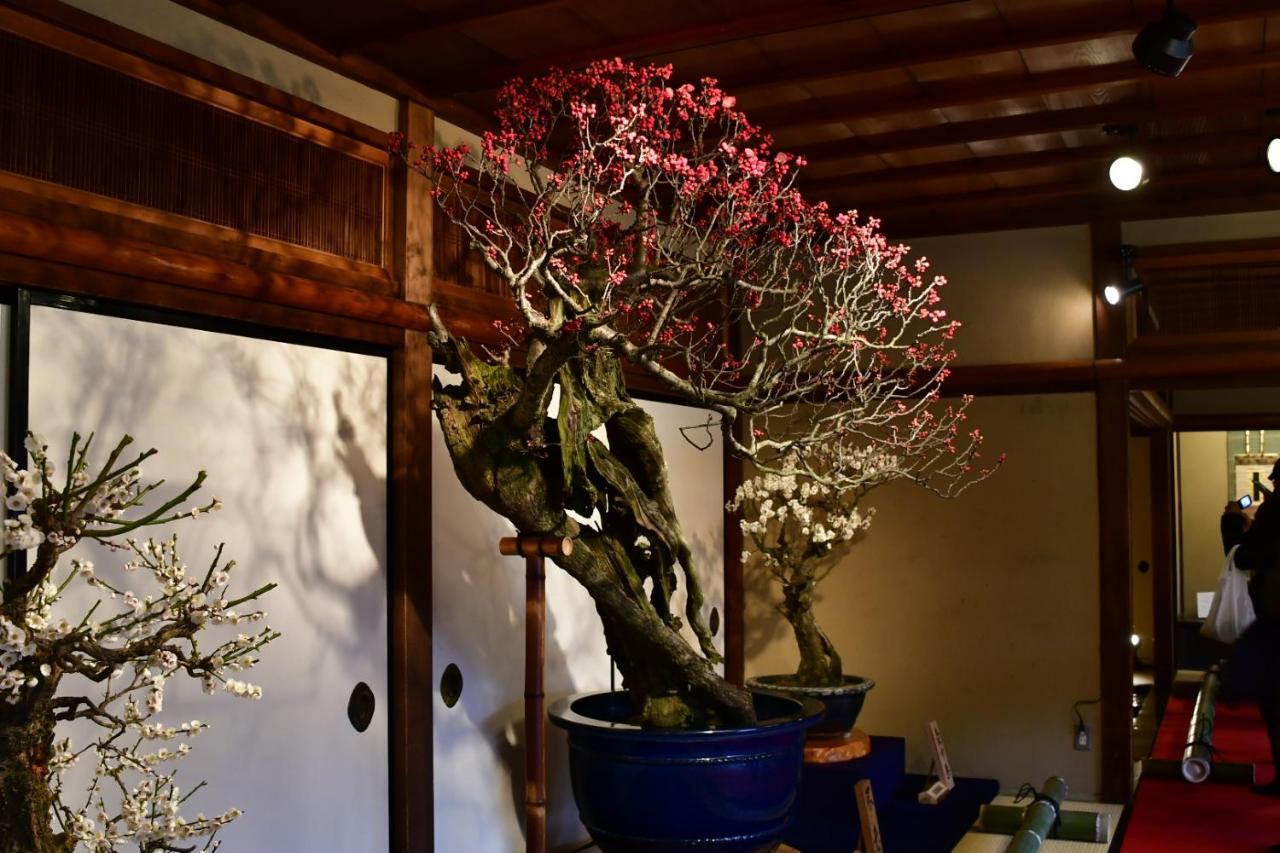 Cozy House 8, Free Wifi A Rented Electric Bicycle Quioto Exterior foto